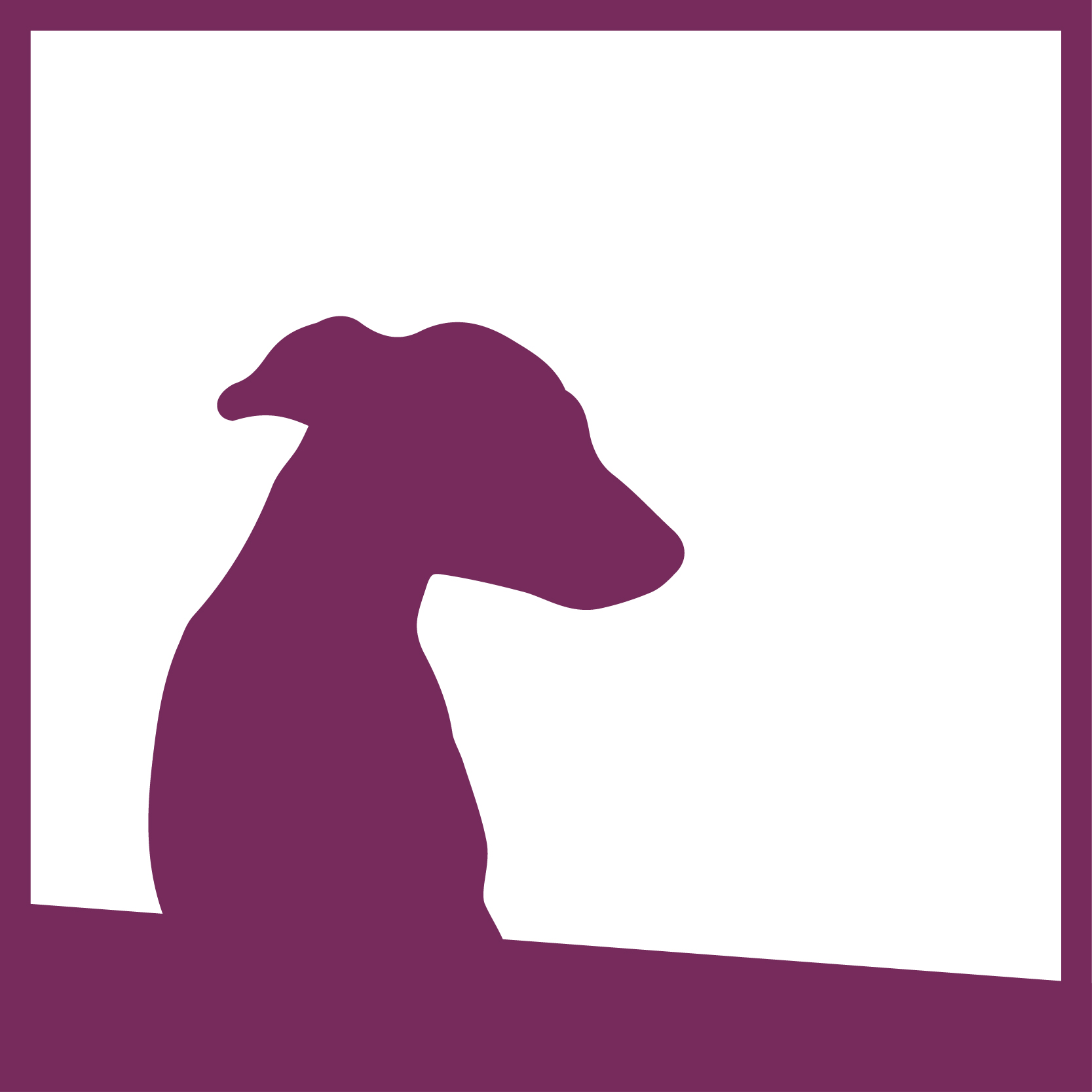 Dora – napovednik je zunaj!