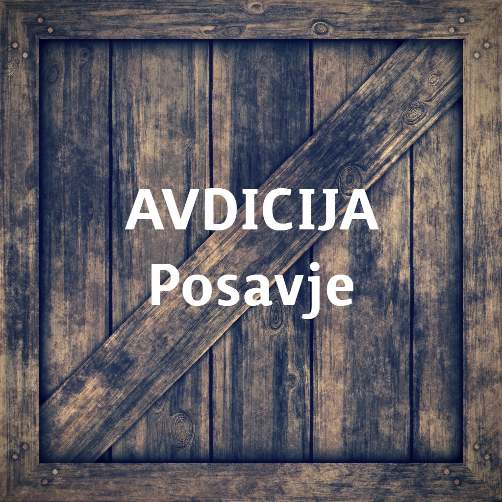 Avdicija za nov gledališki projekt